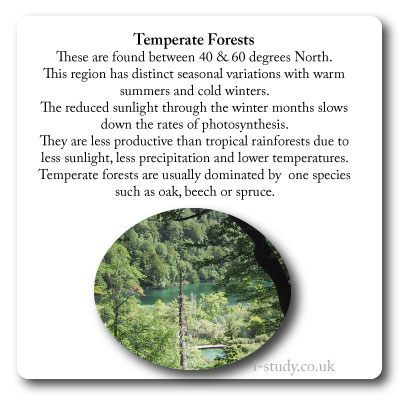 Biomes, temperate forest